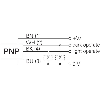 Cellule EAP PNP P=400mm qTeach+Teach-in PinPoint LO/DO / Câble 2m