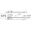 Cellule Bar. reflex transp. NPN P=7m Teach LO/DO Plast. / Câble 2m