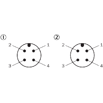 Cellule Barrage (E+R) PNP/NPN P=45m PinPoint IOL LO/DO, M12 4P+C0.27m-Lire la description