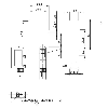 Cellule Barrage PNP/NPN NO/NF P=5m Pot. IR LO/DO / Câble 2m