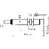 DPI M12 NPN NO P10mm non noyé lg52(44)mm Laiton / Câble 2m PVC