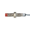 DPI M12 PNP NO+NF P4mm non noyé lg67.5(42)mm Laiton / Câble 2m PVC