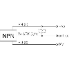 DPI M05 NPN NO P1mm noyé lg25mm Acier 10-30Vdc / M08 3P