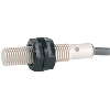 DPI M30 PNP NO P10mm noyé Plast. 10-30Vdc / Câble 2m