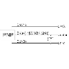 DPI M12 PNP NF P4mm noyé lg50mm Laiton 10-30Vdc / M12 4P
