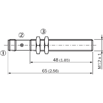 DPI M12 NPN NO P2mm noyé lg65(48)mm Laiton 10-30Vdc / M12 4P-Lire la description