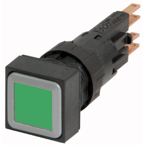 Bouton-poussoir lumineux, vert, à accrochage, +L 24V-Lire la description