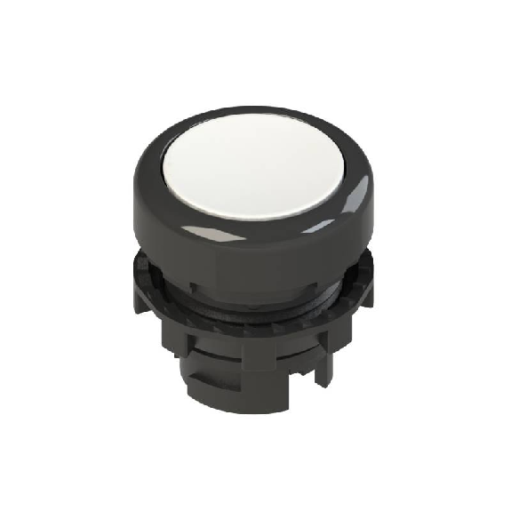 Bp Ø20mm lumineux affleurant, blanc (noir)-Lire la description