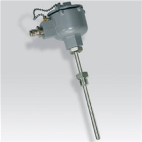 Sonde Pt100x1 3 fils NPT inox 316 lg150mm Classe A Ø8mm Sonde Pt100x1 3 fils NPT inox 316 lg150mm Classe A Ø8mm-Lire la description