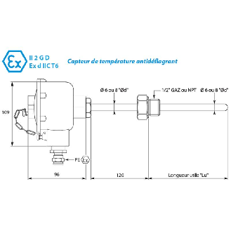 Sonde Pt100x1 3 fils NPT inox 316 lg150mm Classe A Ø8mm-Lire la description