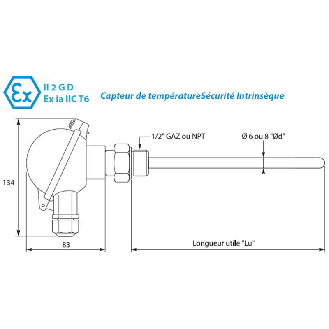 Sonde Ex Pt100x1 Cl.A Ø6x0,4mm lg50mm tête DAN G1/2 -50/+450 °C-Lire la description