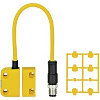 Capteur de sécurité magnétique sans contact 10 mm, 2NO, M12 8P Capteur de sécurité magnétique sans contact 10 mm, 2NO, M12 8P