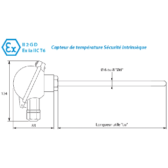 Sonde Atex Tête Pt100x1 Classe A Ø6x0.4mm x 150mm, -50/+450°C-Lire la description
