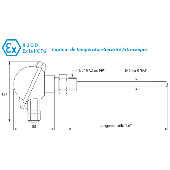 Sonde Ex Pt100x1 Cl.A tête DAN G1/2 Ø6x0,4mm x 150mm -50/+450°C-Lire la description
