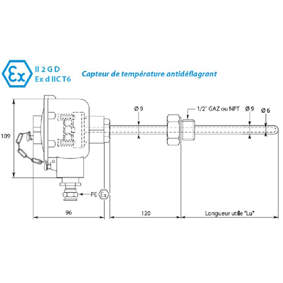 Sonde Pt100x1 3 fils NPT inox 316 lg600mm Classe A Ø9mm-Lire la description