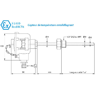Sonde de température Pt100x1 3 fils NPT inox 316 lg600mm Classe A Ø9mm-Lire la description
