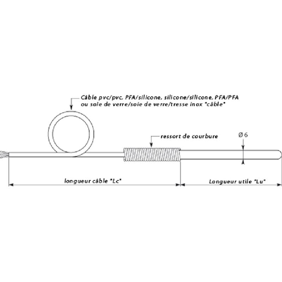 Sonde Pt100x2 Ø6mm lg100mm, câble 3m PVC/PVC, -50..+450°C-Lire la description