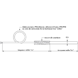 Sonde Pt100x2 Ø6mm lg100mm, câble 3m PVC/PVC, -50..+450°C-Lire la description