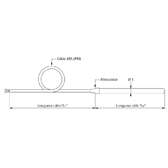 Sonde Pt100x1 4fils, Ø3x0,3mm 100mm inox 316 L, câble 3m PFA/PFA-Lire la description