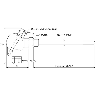 Sonde Pt100x1 3 fils Ø6mm lg100mm G1/2 avec tête type MINI DAN-Lire la description