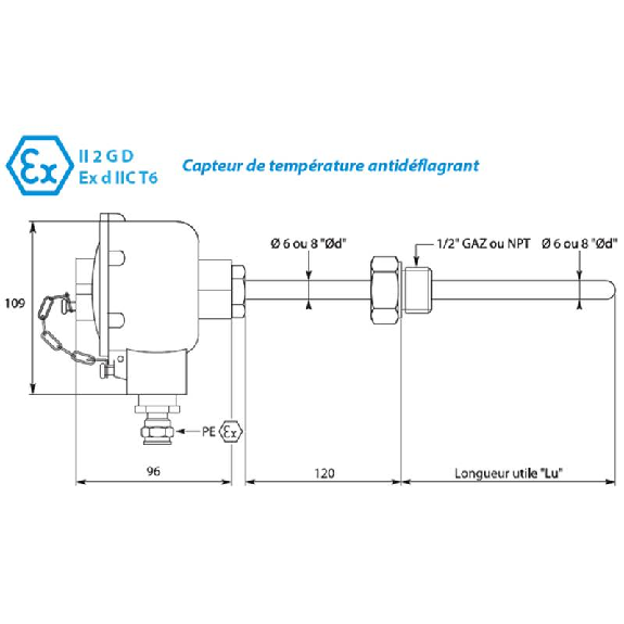 Sonde Pt100x1 3 fils G1/2 mâle inox 316 lg600mm Classe A Ø6mm Sonde Pt100x1 3 fils G1/2 mâle inox 316 lg600mm Classe A Ø6mm-Lire la description