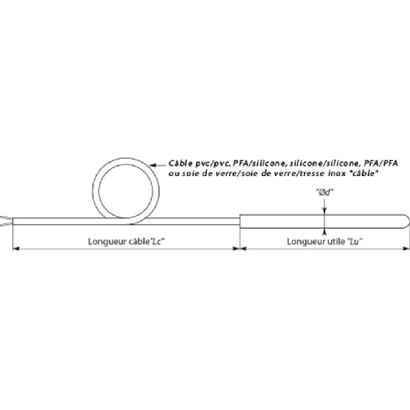 Sonde Pt100x2 3 fils Ø6x0,4mm lg200mm, câble 1m PFA/PFA Sonde Pt100x2 3 fils Ø6x0,4mm lg200mm, câble 1m PFA/PFA-Lire la description