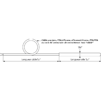 Sonde Pt100x1 3 fils Ø6x0,4mm lg200mm, câble10m PFA/PFA-Lire la description