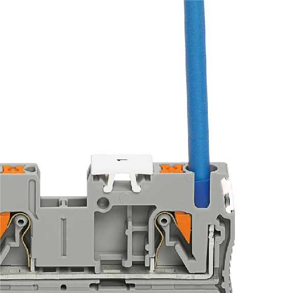 Bloc de jonction simple, Push-in, 0,14 - 4mm², 24A, 800V, bleu-Lire la description