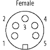 7/8A Fem Droit 5p