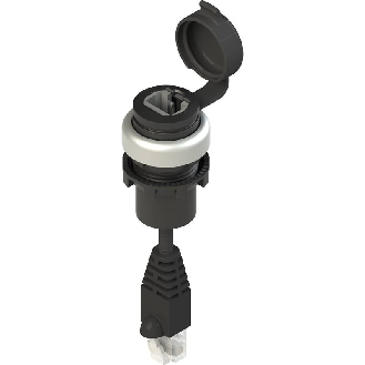 Prise RJ45 femelle / RJ45 mâle câble PVC 0,5m (satin chromé)-Lire la description