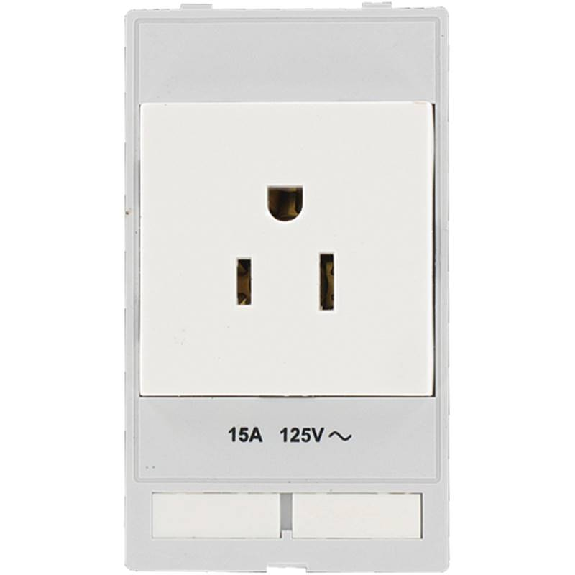 Module simple MSDD Prise USA (NEMA 5-15)-Lire la description