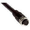 M12-SICK Fem Droit 8p; Câble PVC Blindé Noir 8 fils 5m