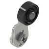 Levier à galet en technopolymère Ø20mm pour FD, FP, FL, FC
