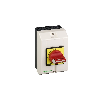 Schneider Electric TeSys Vario VCF 3P 32A Trennschalter in Gehäuse