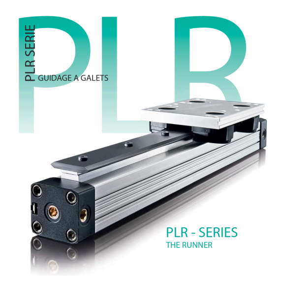 Cilindro PLR - Serie Guida a Rulli grigio/acciaio Ø 25-25 corsa: 650 mm-Leggi tutto
