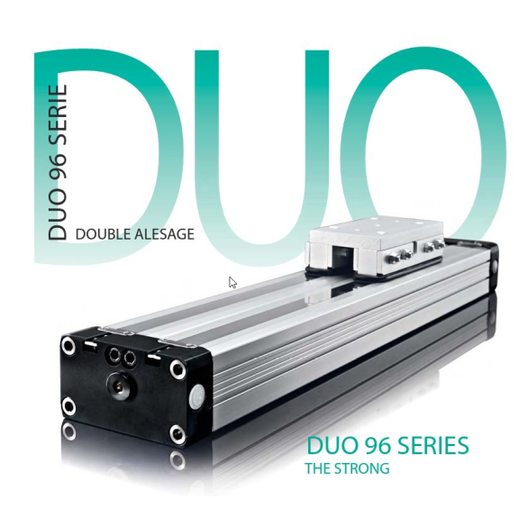 Vérin DUO - Série Double Alésage gris/acier 2 x Ø 16 course : 600 mm-Lire la description