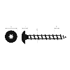 Vis de penture à tête ronde large Torx acier noir 6X40 boîte de 200 - 13360040