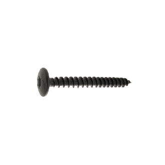 Vis de penture à tête ronde large Torx acier noir 6X25 boîte de 250 - 13360025-Leggi tutto