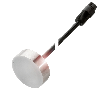 DPC D30 (Ampli) P1-15mm noyé Ø30×10mm Inox / Câble 2m+Connecteur