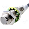 DPI M12 2 fils AC NF P2mm noyé 20-264VAC / Câble 5m