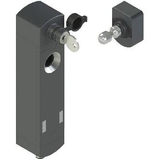 Interrupteur de sécurité avec verrouillage et technologie RFID, 24Vdc, Connecteur M12 axial à 12 pôles - NS D4ST1SMK-F41-Lire la description
