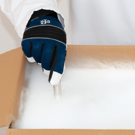 Enregistreur de température Cryo PCE-LTD 100-Lire la description