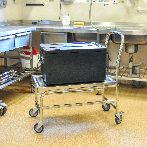 Kongamek Edelstahl- Plattformwagen rostfrei mit Schiebegriff und Bremse 760x440mm Ladefläche Gummibereifung Kongamek Edelstahl- Plattformwagen rostfrei mit Schiebegriff und Bremse 760x440mm Ladefläche Gummibereifung-Beschreibung lesen