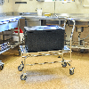 Kongamek Edelstahl- Plattformwagen rostfrei mit Schiebegriff und Bremse 760x440mm Ladefläche Gummibereifung Kongamek Edelstahl- Plattformwagen rostfrei mit Schiebegriff und Bremse 760x440mm Ladefläche Gummibereifung