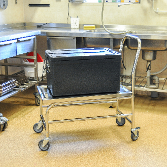 Kongamek Edelstahl- Plattformwagen rostfrei mit Schiebegriff und Bremse 760x440mm Ladefläche Gummibereifung-Beschreibung lesen