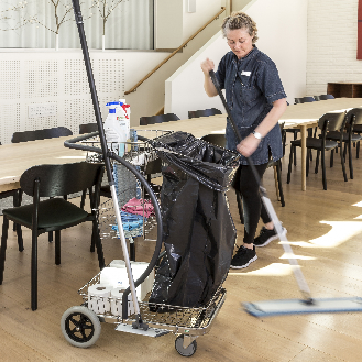 Reinigungswagen 100 kg-Beschreibung lesen