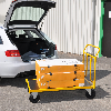 Plattformwagen pulverbeschichtet mit Ladefläche 950x554mm aus MDF, Schiebebügel und Luftbereifung ohne Bremse