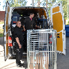 Kongamek Sicherheitscontainer 795x715x1505mm verzinkt mit Gitterboden, 4 Gitterwänden, Tür und Bremse