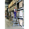 MUNK Podestleiter fahrbar Aluminium geriffelt 2x5 Stufen MUNK Podestleiter fahrbar Aluminium geriffelt 2x5 Stufen