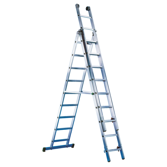 Manager polyvalent DAMA 3 PARTS 3X8 Sprouts-Leer más